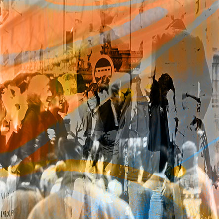 Icone migrations